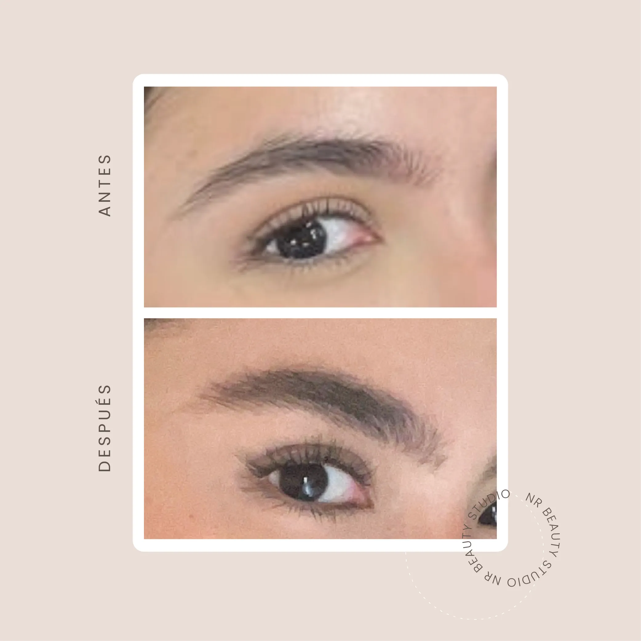 Serum para Cejas NR - Imagen 5