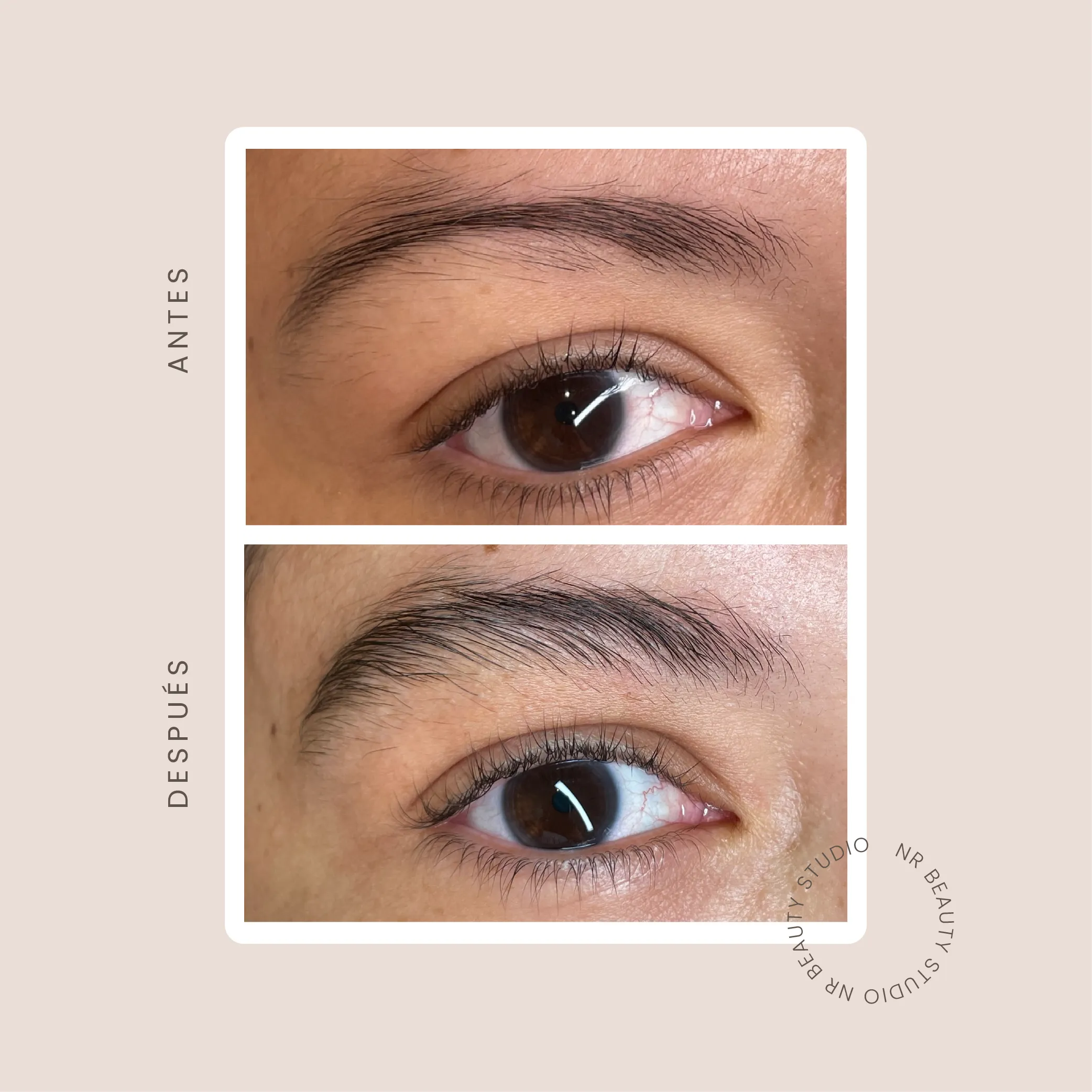 Serum para Cejas NR - Imagen 6